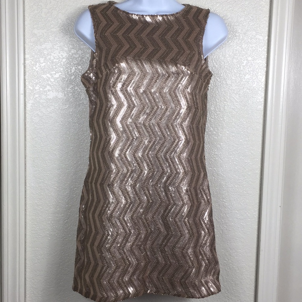 Grethel chevron Sequin Sheath Dress